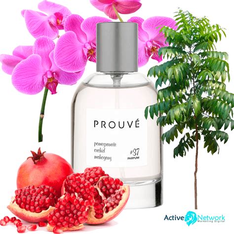 perfumes similar to calvin klein euphoria